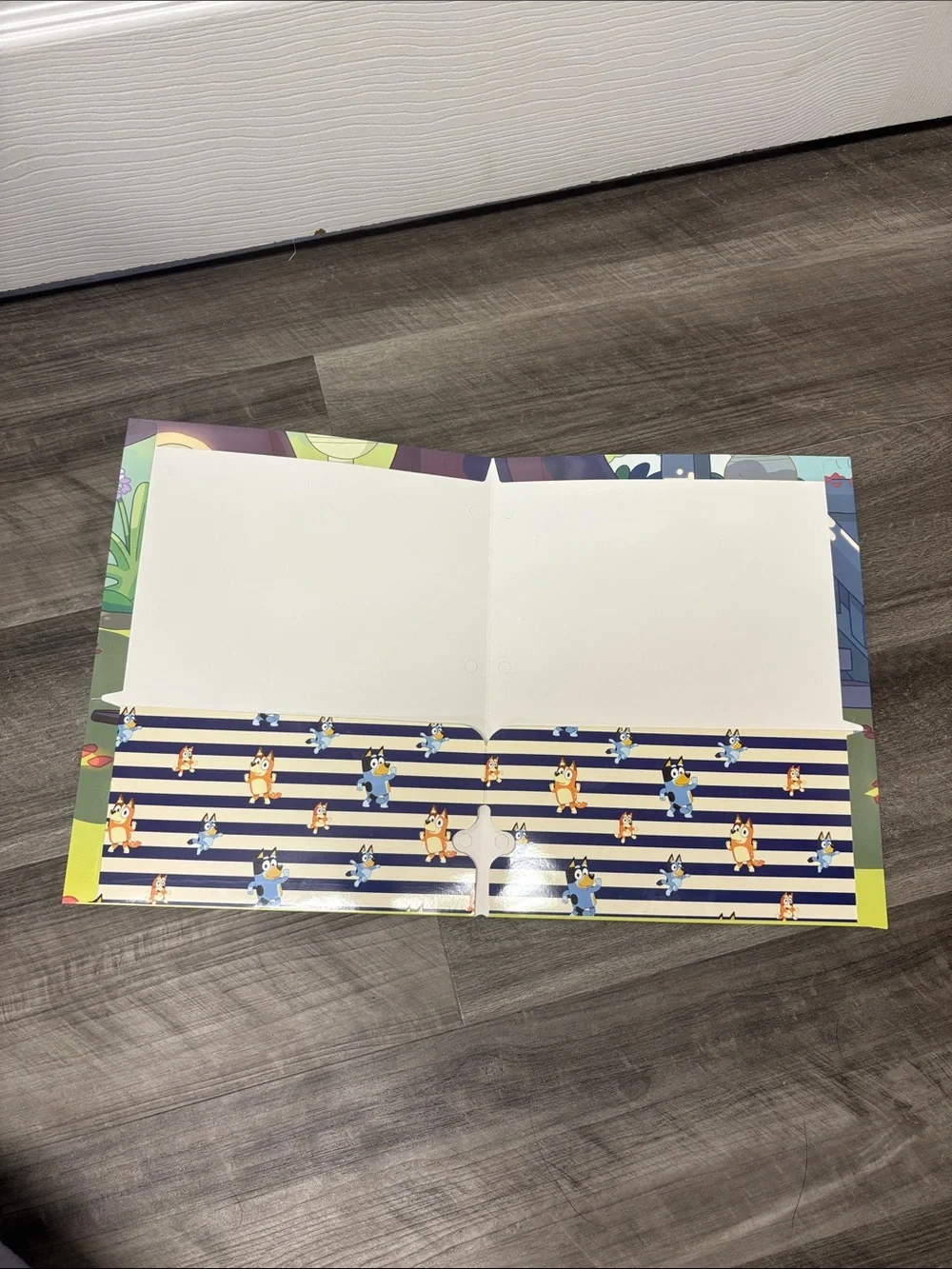 Bluey school folders